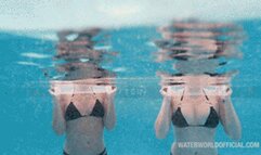 Pool Squareface Competitions