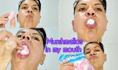 How many marshmallows do you think fit in my mouth? Mouth Fetish - Feeding Fetish