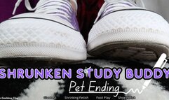 Shrunken Study Buddy PET Ending - HD - The Goddess Clue, Magic Pen Minimizes Your Size, Shrunken By Your Classmate And Made Into A Toy, Teased About Being Small, Converse Fetish, Foot Fetish, Shoe Play, Kept As A Foot Slave Forever
