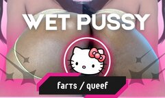 Wet Pussy Farts