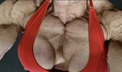 Fbb Xtreme ripped workout pecs chest giant biceps massive veiny mass pre cpmpetition training pumped high