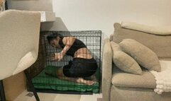 SunnyBunny was stuck in a cage - DESPERATION, REAL FARTS - WMV