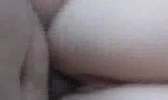 White Wife SLAYED By Black Bull