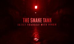 Pocket Sized Pleasure - 4k