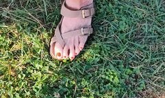 Tempest vents while flexing calves