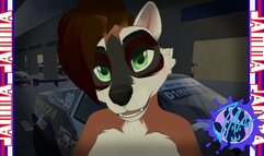 Furry Sex - Balls and Cars