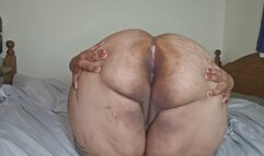 BBW Twerking, Shaking And Spreading Her Huge Ass Cheeks