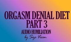 Orgasm Denial Part 3 Bargain for Release