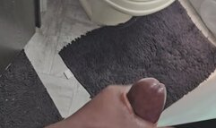 POV Stroking Pissing and Cumming