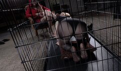 Spending Time With My Slave, 1st