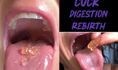 Devoured By Kandy:Cucks Digestion And Rebirth