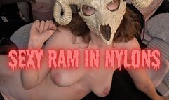 Horny Sexy Ram in Nylons