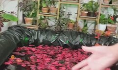 BTS Poison Ivy Videos from 2022