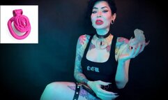 Wear the clitty chastity for a month, let's shrink your leftover shrimp - LOCKTOBER, SPH , SHRINKING