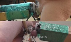 Milking by the Machine - Split-Screen - WMV