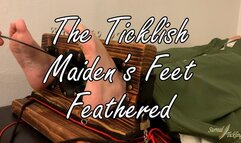 The Ticklish Maiden's Feet Feathered