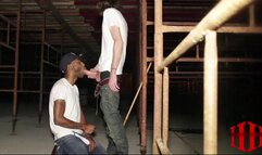 100 Plus Nut Busts Part 2