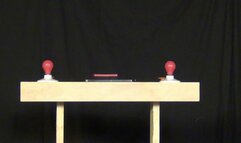 Gagged Game Of Trivia With Alysha and Tiffany Ropemarked Legends # 45