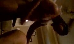 Cheating wife bitch bangs with her husbands [censored] son