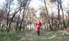 An Unsuccessful Walk in the Woods AVI (1920x1080) FHD