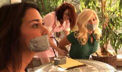 Reporter Stacy Denison and starlet Charlie Royce are bound and gagged on camera by maid Nikki Nefarious and her boss!