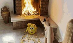 Destruction and burning AVI