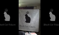 facebox for yellow girlish socks featuring Alice (fullbody)