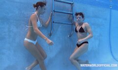 Sandra Ying Alexa Yang