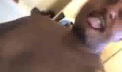 Addie dreams of having a black lover