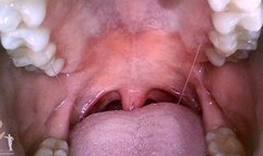 Mouth Cam - Miss Bat - 1080