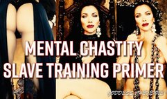 The Mental Chastity Slave Training Primer