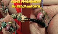 CRUEL PUNISHMENT for BALLS and COCK (en-720)