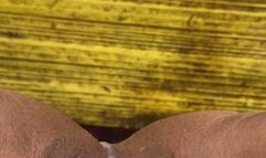 Pissing on the Steps