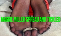 Maggie Miller Spread and Tickled