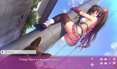 Nin Nin Days Pt 3 - Jutsu Inu