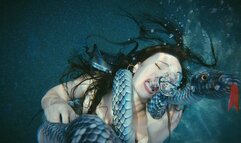 Raven Lynette and the Legend of the Silver Serpent