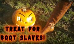 Treat for boot slaves