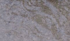 Halloween 2025 "cum inside" with Natalie K masturbating with sex toy BJ & fingering in bodystocking by grave stone & naked in shower