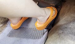 Flip Flops & Flooded Pt 1