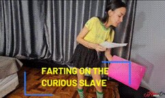 FARTING ON THE CURIOUS SLAVE - BY VERONICA LINS - FULL VERSION IN FULL HD - NEW KC NOVEMBER 2025