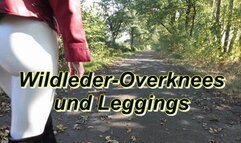 Suede over-the-knee boots and leggings - Wildleder Overknees und Leggings