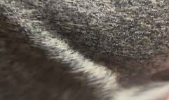 Masturbation Instruction MP4