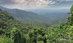 Indian Boy DEEP BNWO Affirmations & POV