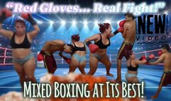 CATA “Red Gloves Showdown – Intense Mixed Boxing Battle” new