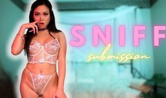 Diaper Discipline: Bratty Princess Encourages Gay Sniff Submission