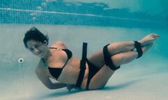 The Alexa Peril Compilation