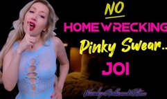 No Homewrecking Pinky Swear JOI