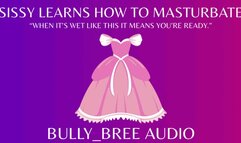 Sissy Learns How to Masturbate Audio