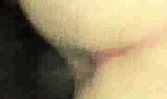 First black cocks for lucky white wife