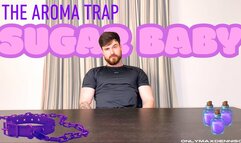 THE AROMA TRAP SUGAR BABY